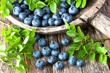  Blueberry on wooden background.  Concept for healthy eating and nutrition.