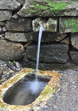 mountain spring in day