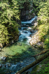 Obraz premium Denny Creek Landscape 7