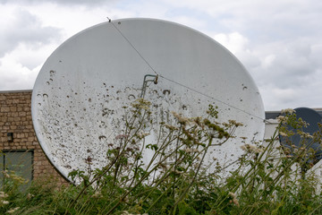 old cell phone communications tower  and large dirty overgrown satellite dish