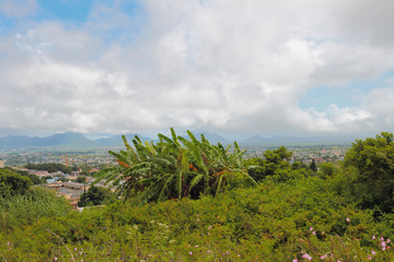 Fototapeta na wymiar Valley in neighborhood of Trou aux Cerfs. Curepipe, Mauritius