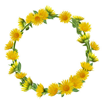 Wreath with yellow daisies isolated on white background