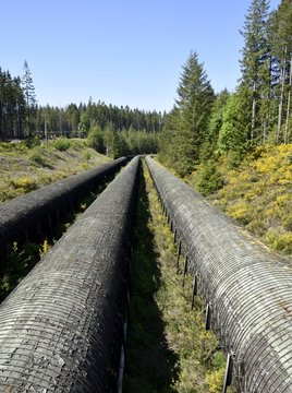 historic wooden penstocks at John Hart Dam, three large over land water pipelines in a forest area, Elk Falls Campbell River;  Vancouver Island BC Canada 