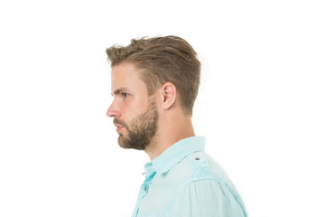 Profile of man with beard on unshaven face isolated on white background. Handsome man in blue shirt, fashion. Bearded and stylish. Hair and barber salon. Skin care and grooming. Casual in style