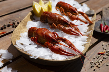 Boiled Crawfish in the ice on a wooden table. Appetizer protein. Top view flat lay background. Copy space.
