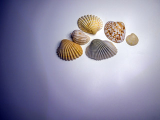 volumetric texture objects