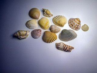 volumetric texture objects