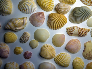 volumetric texture objects