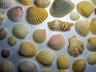 volumetric texture objects