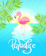 Summer vector illustration with flamingo  and hand-drawing word 