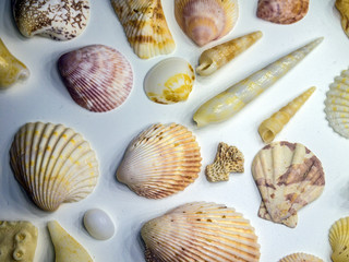 volumetric texture objects