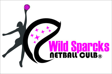 Logo: Net Ball