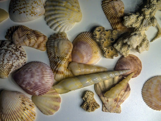 volumetric texture objects