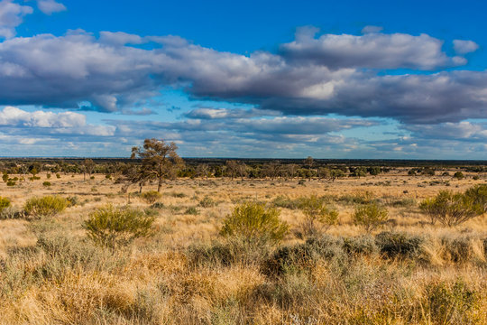 The Australian Outback