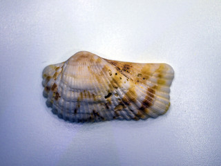 volumetric texture objects