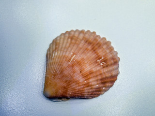 volumetric texture objects