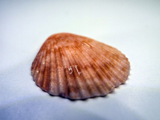 volumetric texture objects