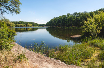 scenic lake in the summer park