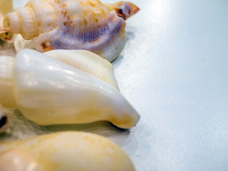 volumetric texture objects