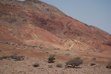 Djibouti