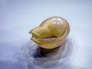 volumetric texture objects