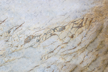 The luxury of white marble texture and background for design pattern artwork.