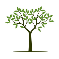 Green Spring Tree. Vector Illustration.