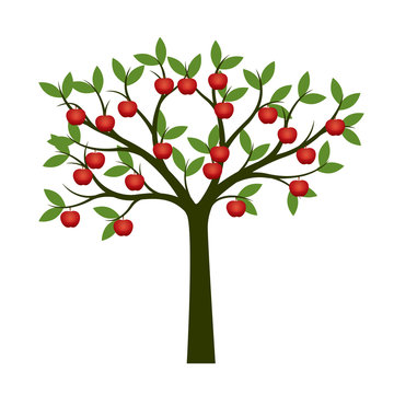 Green Tree and red apple fruits. Vector Illustration.