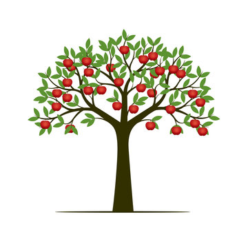 Green Spring Tree with Leaves and red apple fruits. Vector Illustration.