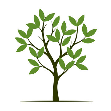 Green Spring Tree. Vector Illustration.