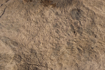 Textures of a wall background.