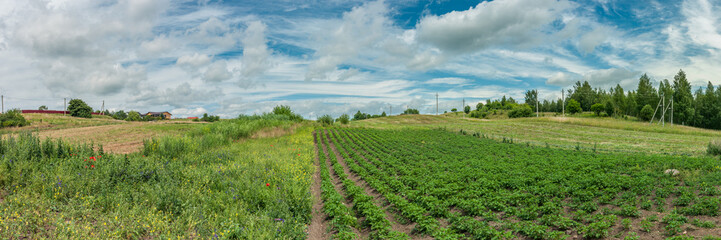 Fototapeta na wymiar old rural landscape. panoramic view of private farmland