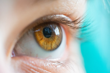 Macro oeil noisette