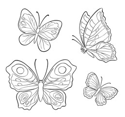 Vector butterflies in contours