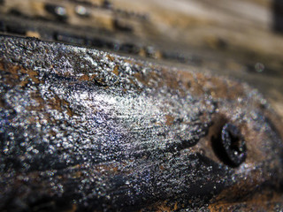 volumetric texture objects