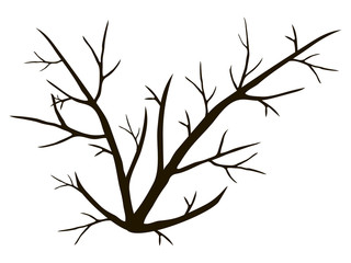 Fototapeta premium contour simple black branches branchy tree isolated on white background drawing object vector