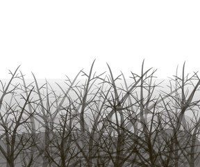 Crossed tree branches against a gray fog background vector depressed sad gray background isolated on a white background.