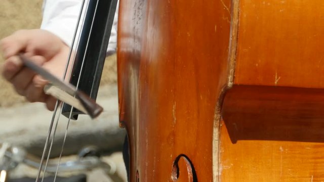 Musician playing contrabass close-to