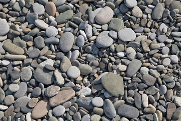 Sea stones on the Black Sea coast. Sochi.