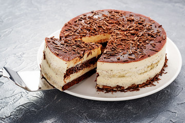 Homemade tiramisu cake, italian dessert on gray  background.