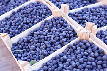 Ripe and juicy fresh picked blueberries. Fruits and vegetables at a farmers market