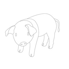 pig coloring vector illustration line drawing profile 