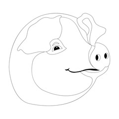 pig head  coloring vector illustration line drawing  profile 