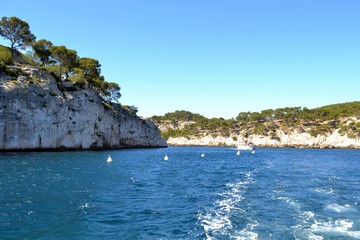 Naklejka premium Cassis
