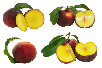 Set of Peach Fruits