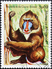 Mandrill on african postage stamp