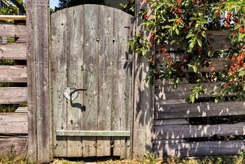 Wooden gate in a village courtyard next to a cherry tree