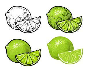 Lime slice and whole. Vector color vintage engraving and flat