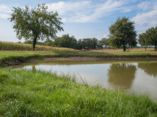 Etang en été