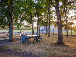 Table sous les arbres